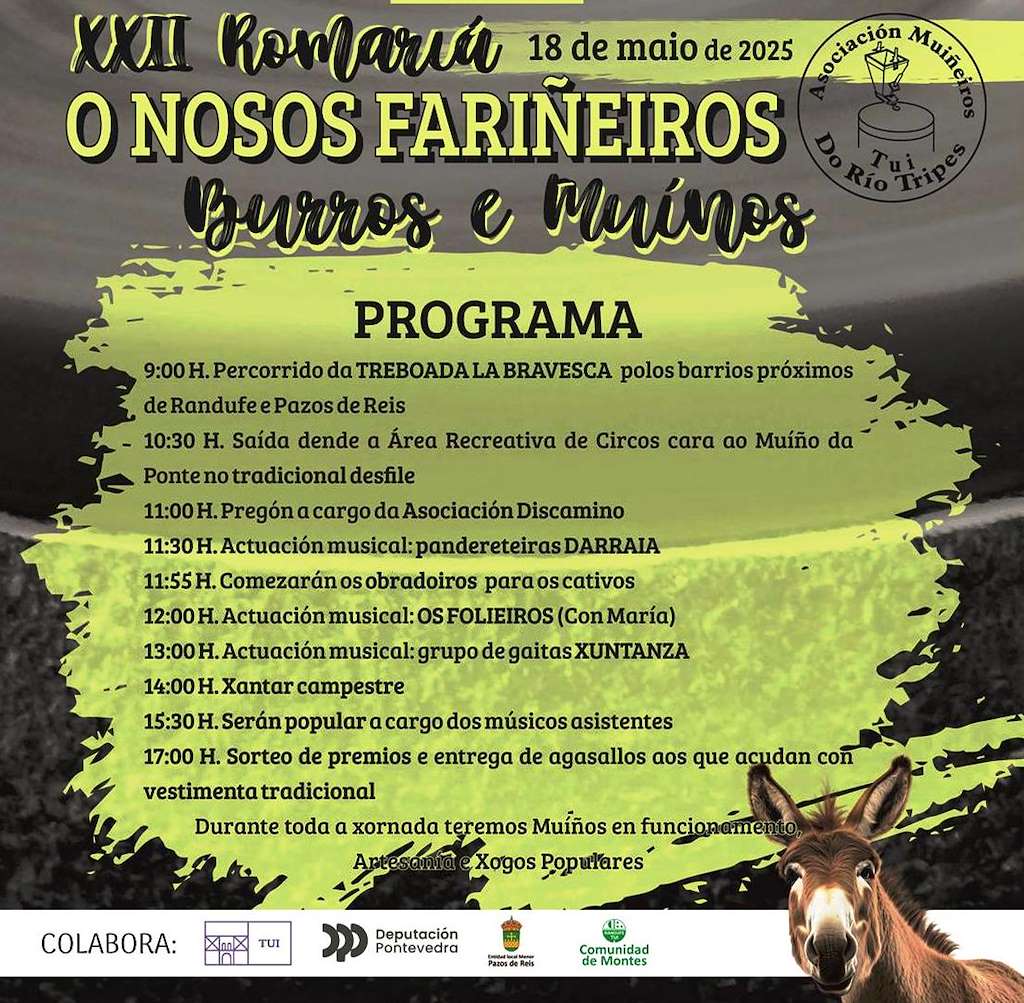XXII Romaría de Os Nosos Fariñeiros Burros e Muíños (2025) en Tui