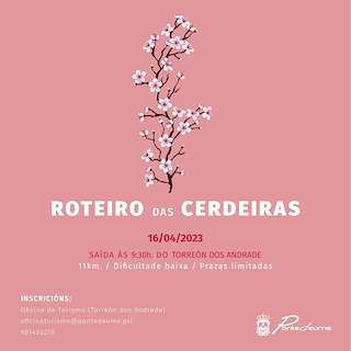 Roteiro das Cerdeiras en Pontedeume