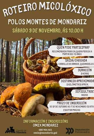 II Roteiro Micolóxico polos Montes en Mondariz