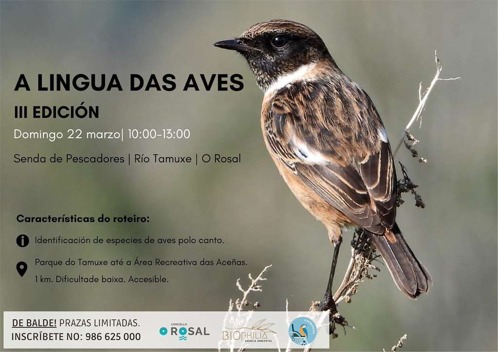 III Roteiro A Lingua das Aves en O Rosal