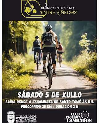Fechas, información, programa, cartel, imágenes, mapa y ubicación de Roteiro en Bicicleta Entre Viñedos  en  Cambados