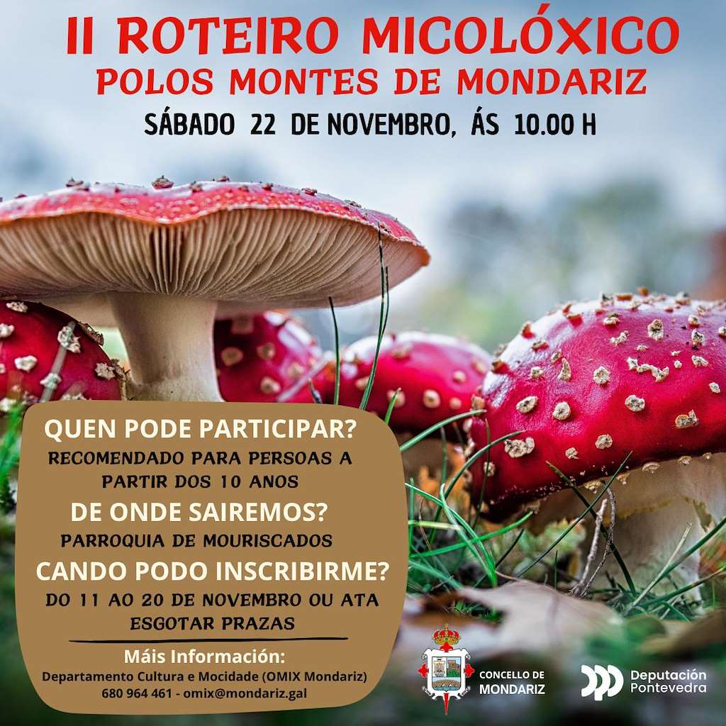 II Roteiro Micolóxico polos Montes en Mondariz
