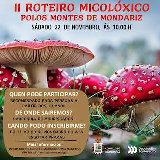 Fechas, información, programa, cartel, imágenes, mapa y ubicación de II Roteiro Micolóxico polos Montes (2025)  en  Mondariz