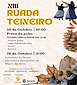 FiestasRelacionadas XIII Ruada de Teixeiro en Curtis