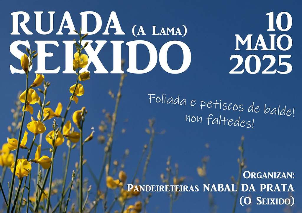 Ruada no Seixido  (2025) en A Lama