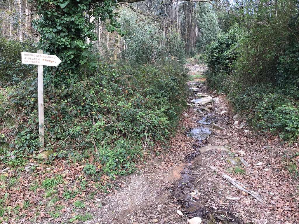 Ruta As Pegadas nas Pedras en Mos