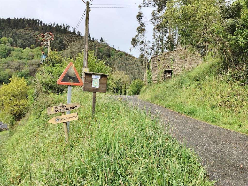 Ruta Avelino Díaz en Meira