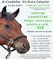 FiestasRelacionadas XIII Ruta Cabalar de A Ciadella  (1) en Sobrado