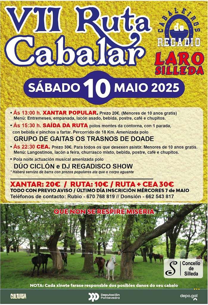 VII Ruta Cabalar de Laro (2025) en Silleda