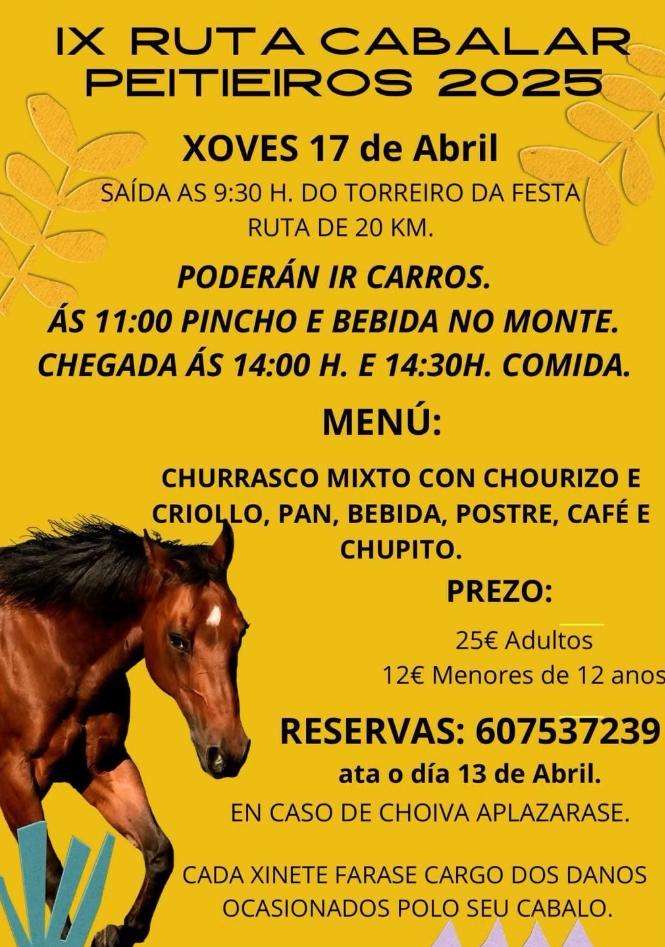 VII Ruta Cabalar de Peitieiros en Gondomar