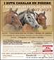 FiestasRelacionadas I Ruta Cabalar de Piñeiro en Tomiño