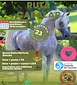 FiestasRelacionadas Ruta Cabalar  en Salceda de Caselas