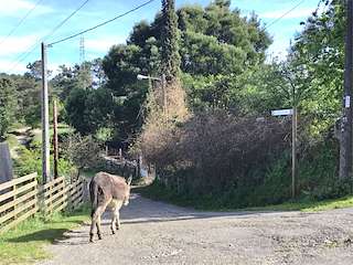 Ruta Castro Dos Cubos