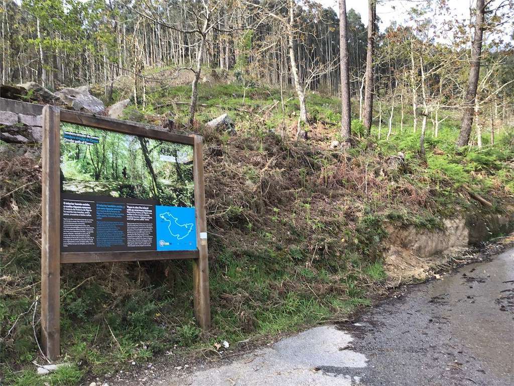 Ruta Circular de Camos en Nigrán