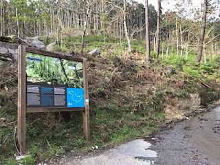 Fechas, información, programa, cartel, imágenes, mapa y ubicación de Ruta Circular de Camos (2023)  en  Nigrán