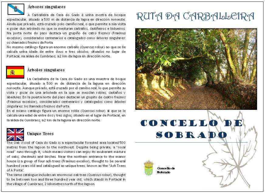 Ruta da Carballeira en Sobrado