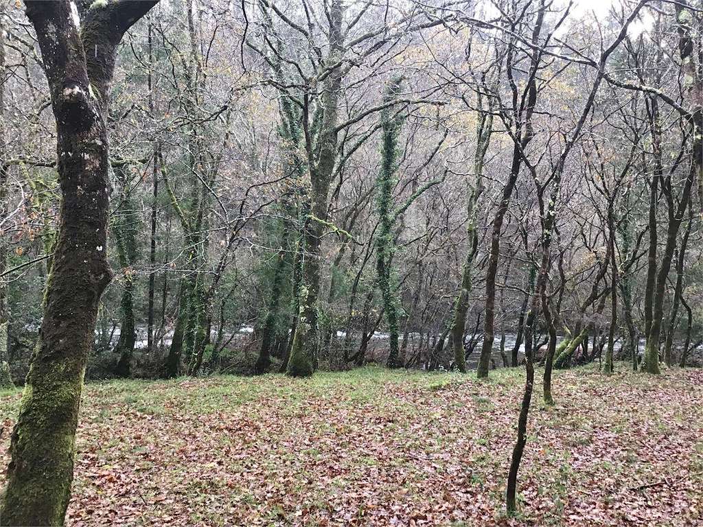 Ruta da Ribeira do Tambre en A Baña