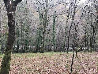 Fechas, información, programa, cartel, imágenes, mapa y ubicación de Ruta da Ribeira do Tambre  en  A Baña