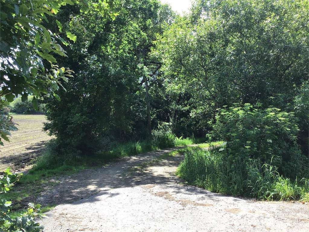 Ruta das Feiras Vellas en Mazaricos