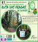 FiestasRelacionadas Ruta das Fragas de Catasós en Lalín