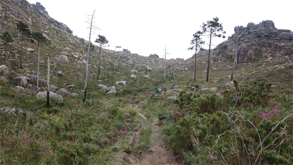 Ruta de A Moa (Subida al Monte Pindo) en Carnota