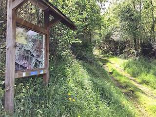 Fechas, información, programa, cartel, imágenes, mapa y ubicación de Ruta de A Seimeira (2023)  en  A Pontenova