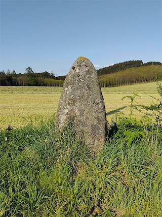 Fechas, información, programa, cartel, imágenes, mapa y ubicación de Ruta de Andabao  en  Boimorto
