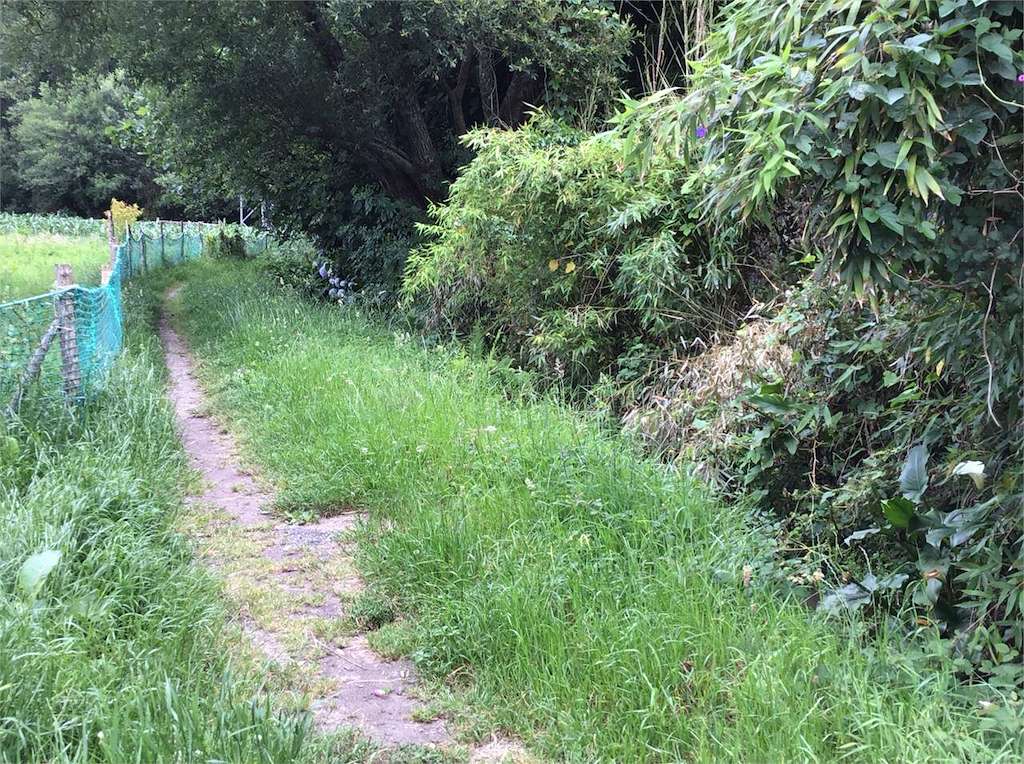 Ruta de los Molinos de Coiro en Cangas
