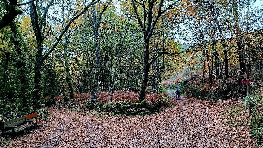 Ruta de los Molinos de San Miguel en Rairiz de Veiga