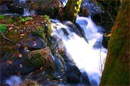 Ruta de los Molinos de Vesacarballa en A Estrada