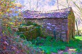 Ruta de los Molinos de Vesacarballa en A Estrada