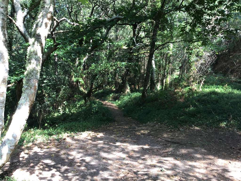 Ruta de los Molinos del Río Orxas en Cangas de Morrazo