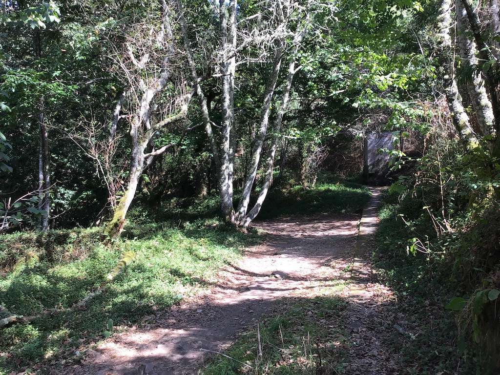 Ruta de los Molinos del Río Orxas en Cangas
