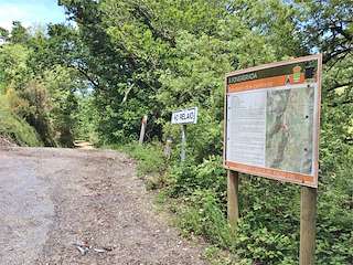 Fechas, información, programa, cartel, imágenes, mapa y ubicación de Ruta de los Pintores (2023)  en  A Fonsagrada