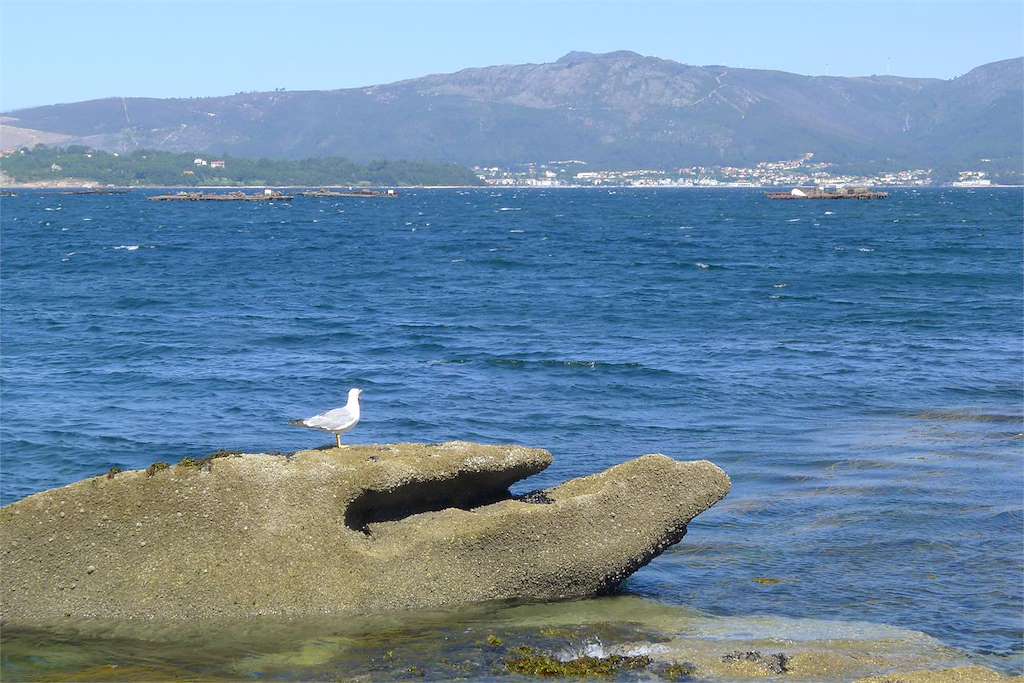 Ruta de "Os Cons" en A Illa de Arousa