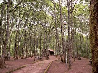 Ruta de Puente a Puente