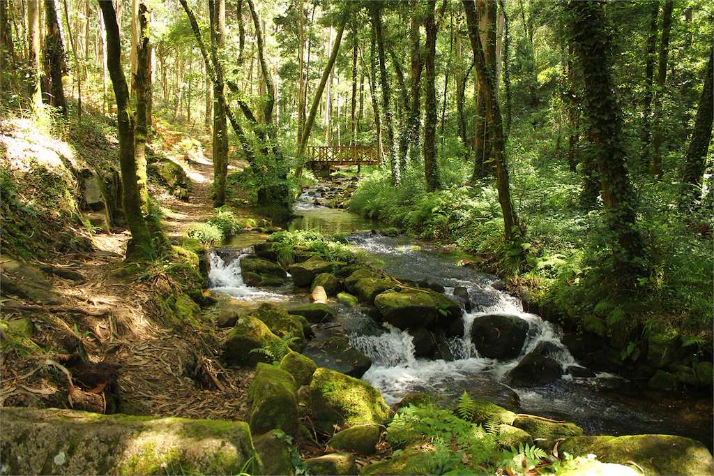 Ruta de Senderismo Rio de la Fraga en Moaña