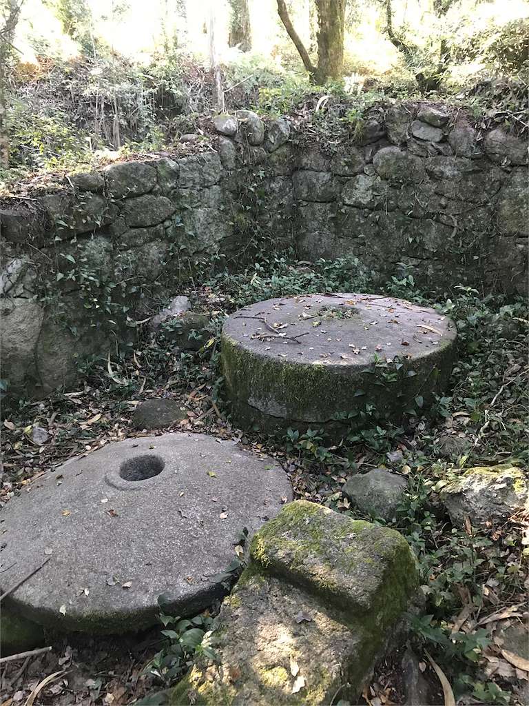 Ruta de Senderismo Rio de la Fraga en Moaña