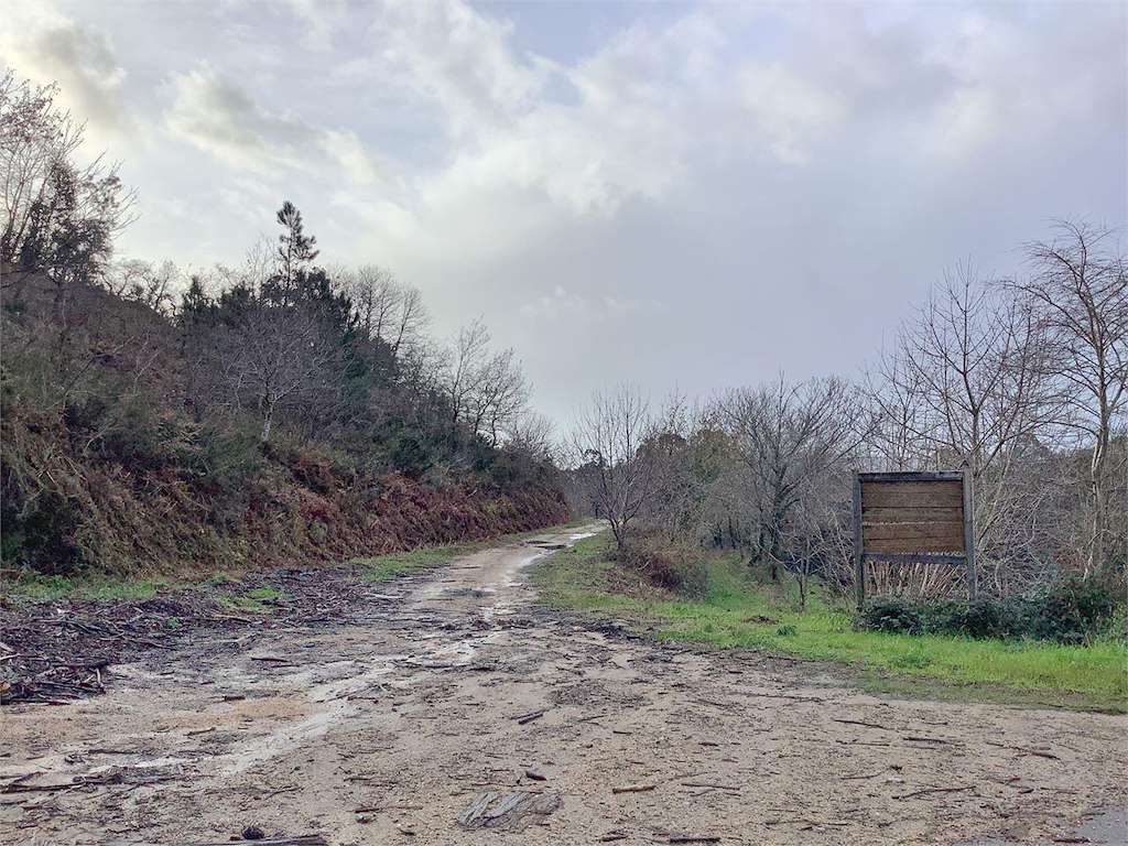 Ruta del Monte Lantaño en Portas