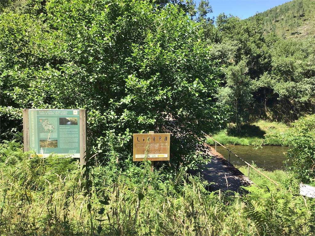 Ruta del Río Trimaz en Xermade