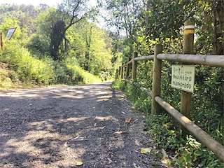 Ruta do Muiñeiro Namorado