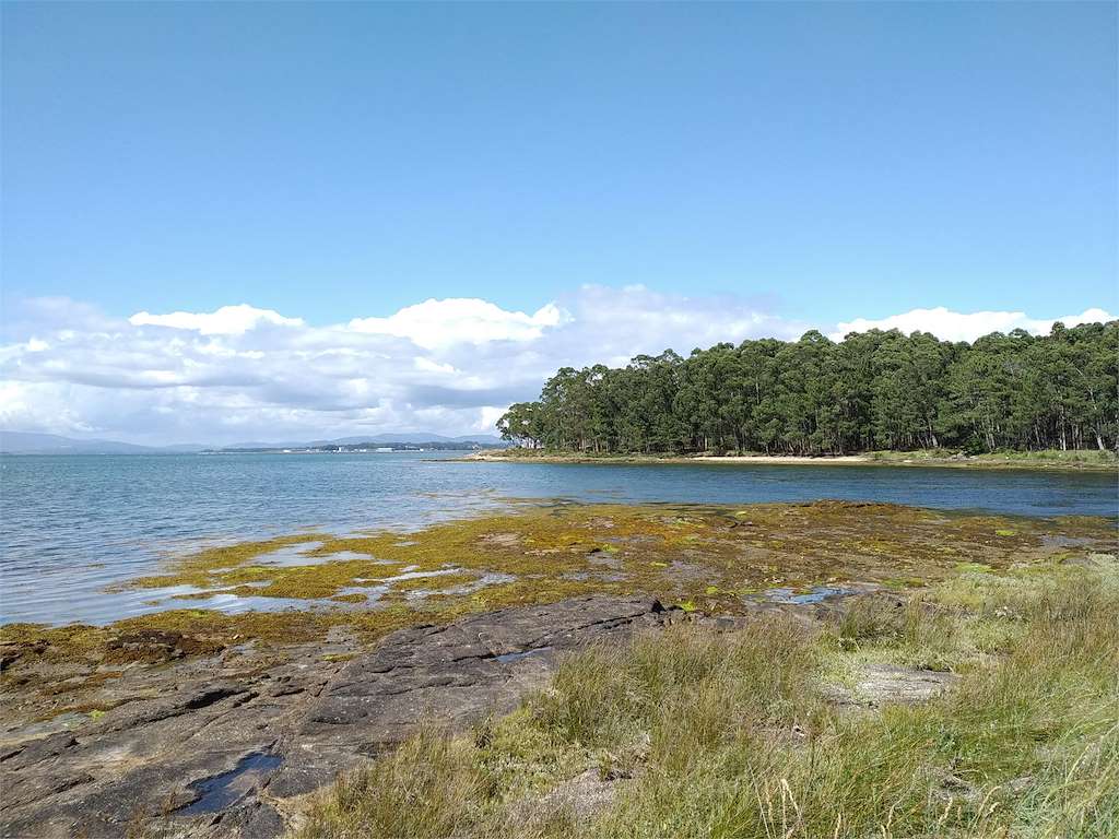 Ruta dos Alavancos en Cambados