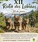 FiestasRelacionadas XII Ruta dos Lobiños (1) en A Fonsagrada