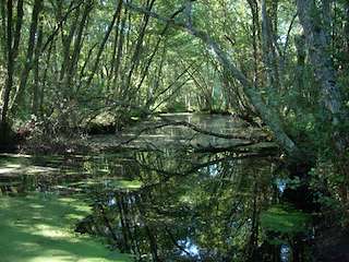 Ruta dos Muíños do Río Loña