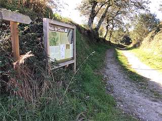 Fechas, información, programa, cartel, imágenes, mapa y ubicación de Ruta dos Petroglifos Pena dos Chaos  en  Antas de Ulla