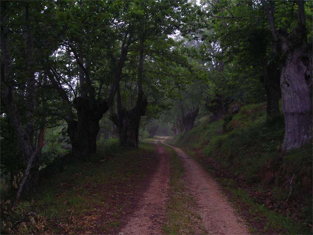 Ruta dos Sequeiros en A Pobra de Trives