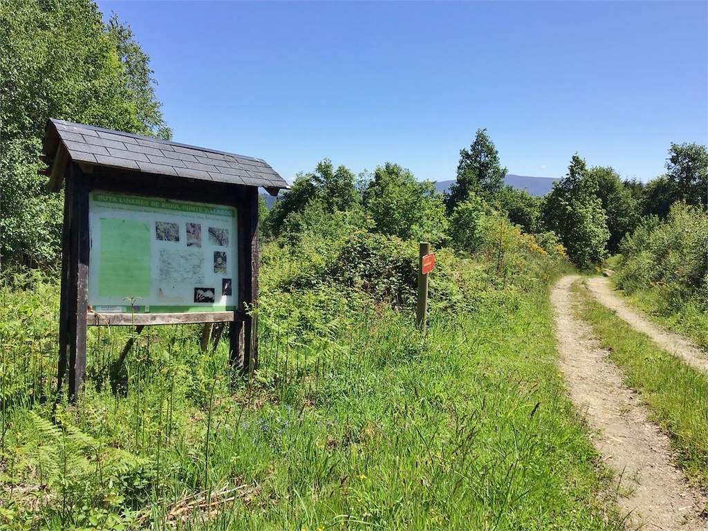 Ruta Liñares de Bidul – Puente de Villabol en A Fonsagrada