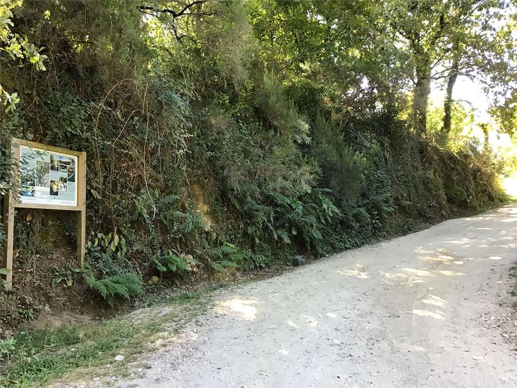 Ruta Loureza - Burgueira en Oia