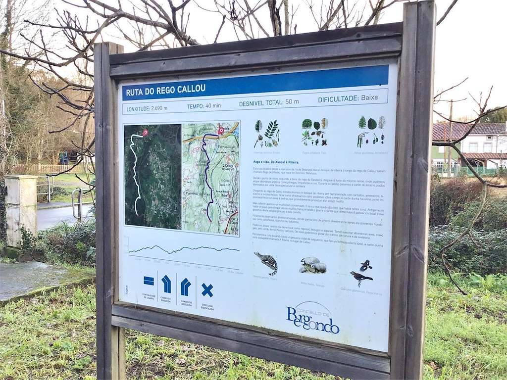 Ruta Rego de Callou en Bergondo