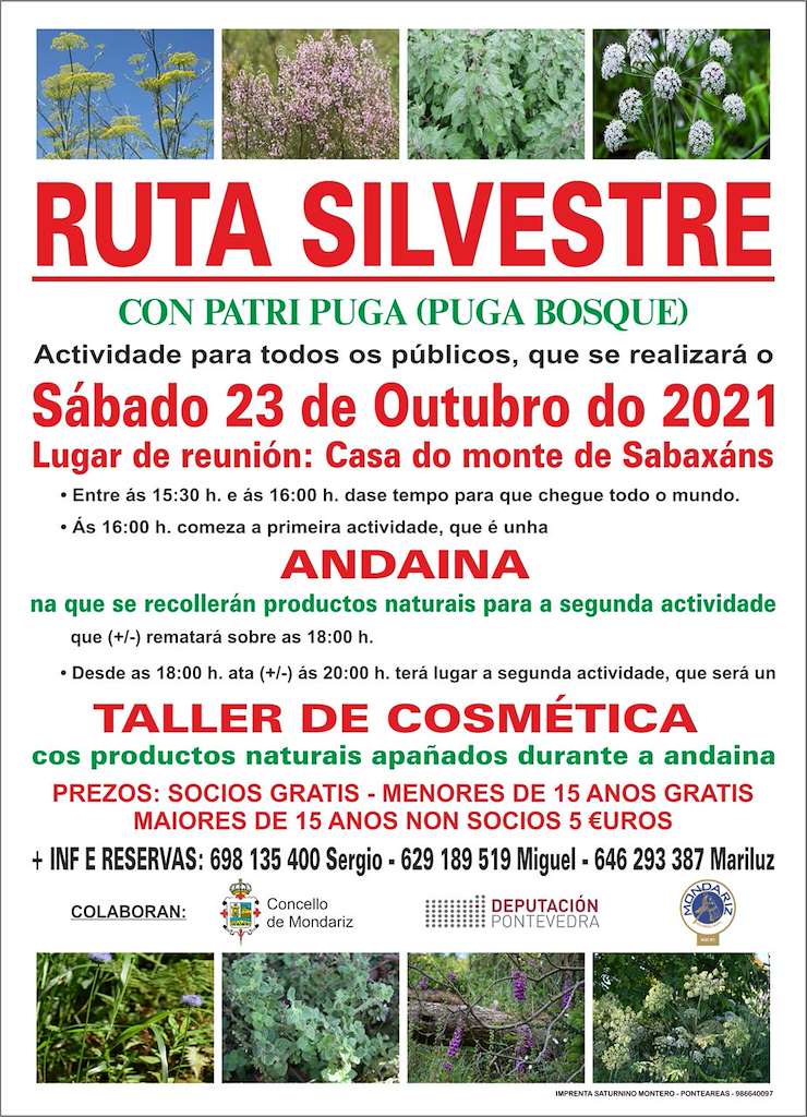 Ruta Silvestre en Mondariz